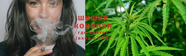 сатива Абдулино