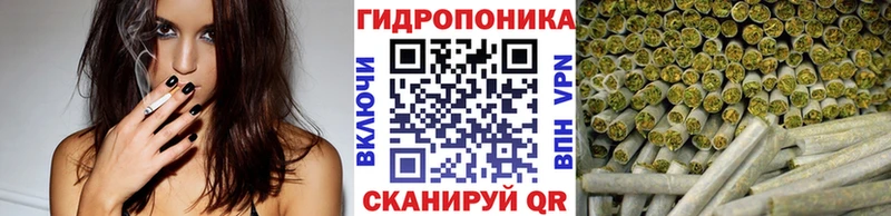 Марихуана планчик  Ржев 